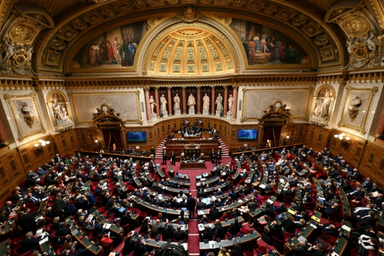 Le Sénat, le 2 avril 2024 à Paris ( AFP / Bertrand GUAY )