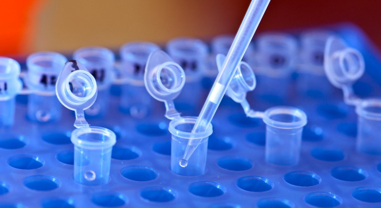 Sanofi apporte 10 millions à la biotech lyonnaise spécialisée dans le traitement du diabète et de l’obésité. (© DR)
