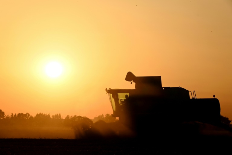 Un agriculteur dans sa moissonneuse, le 30 juin 2025 près d'Illiers-Combray, dans le centre de la France ( AFP / JEAN-FRANCOIS MONIER )