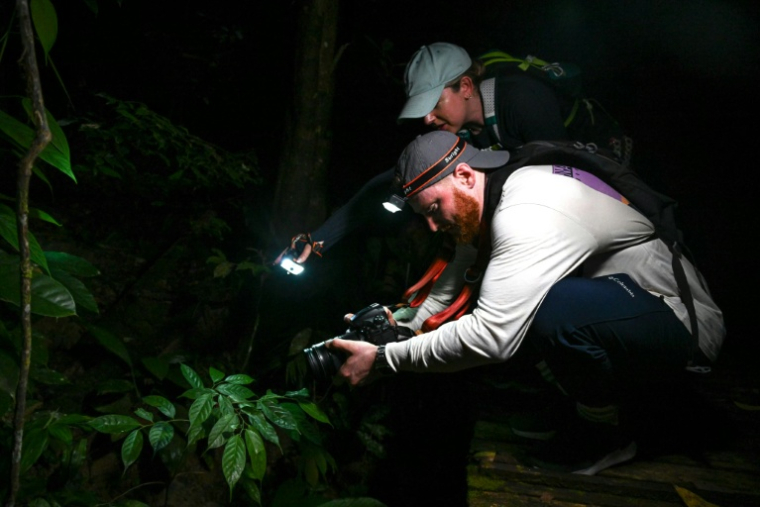 Deux touristes britanniques, Thom Harris et Lauren Heywood, lors d'une chasse à la grenouille dans le parc national de Kubah, sur l'île de Bornéo en Malaisie, le 19 juin 2025 ( AFP / Mohd RASFAN )