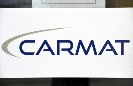 Créée en 2008, Carmat avait expliqué devoir rassembler au moins 3,5 millions d'euros d'ici au 30 juin ( AFP / BERTRAND GUAY )