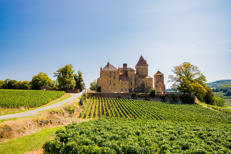 Le Château de La Varière et ses origines moyenâgeuses