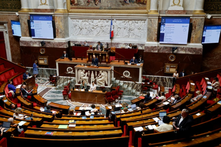 Le projet de loi transposant plusieurs accords trouvés entre syndicats et patronat, dont celui destiné à faciliter l'emploi des seniors, arrive jeudi en première lecture à l'Assemblée nationale ( AFP / Ludovic MARIN )
