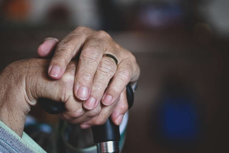 Une femme, décédée en 2022 à l'âge de 100 ans, a légué près de 8 millions d'euros à sa commune de Roquefort-les-Pins (Alpes-Maritimes). Illustration. (ALEXAS_FOTOS / PIXABAY)