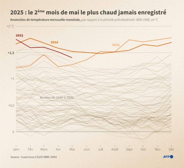 2025 : le 2ème mois de mai le plus chaud jamais enregistré ( AFP / Ioana PLESEA )