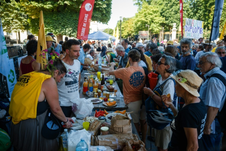 Des opposants à la loi Duplomb tiennent un banquet devant le Sénat, à Paris, le 30 juin 2025 ( AFP / Dimitar DILKOFF )