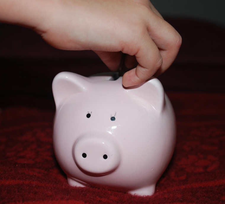 La mesure est comprise dans le projet de loi de finances (PLF) pour 2024. (illustration) (Gaertringen / Pixabay)