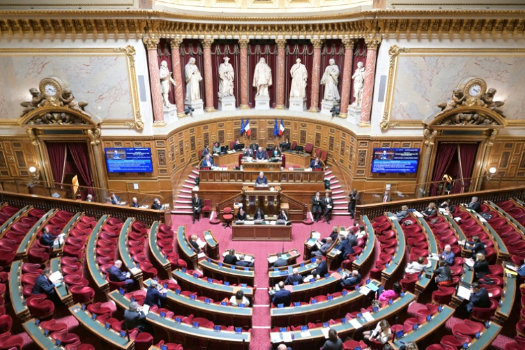 Les sénateurs dressent un panorama de 434 opérateurs, 317 organismes consultatifs et 1.153 organismes publics nationaux, un "archipel aux frontières floues" dont les contours précis ne sont pas précisément connus par l'Etat lui-même ( AFP / BERTRAND GUAY )