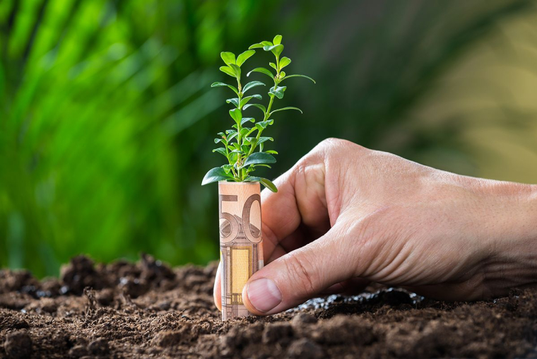 main plantant un billet qui fait pousser une plante (Crédits: Adobe Stock)