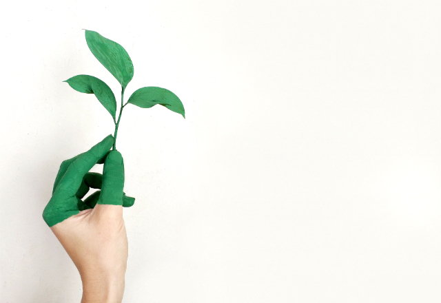 L’investissement socialement responsable reste encore assez confidentiel auprès des particuliers. Mais on constate un intérêt croissant de la part des investisseurs qui prennent de plus en plus en compte les critères ESG (Environnement Sociétal et de Gouvernance) avant d’investir dans une entreprise.