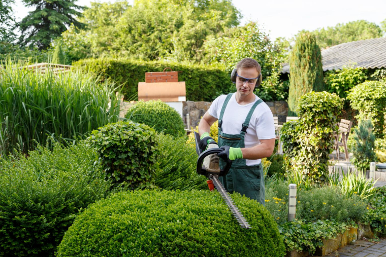 Le Chèque Emploi Service Universel (CESU) permet d’alléger les démarches administratives pour déclarer la rémunération d’un salarié à domicile. ( crédit photo : juefraphoto/Shutterstock / juefraphoto )