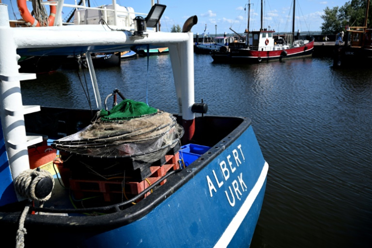 Des bateaux de pêche dans le port d'Urk, le 3 juillet 2025 aux Pays-Bas ( AFP / Nicolas TUCAT )