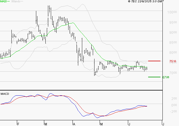 ALTEN : Attendre un test du support