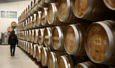 Des fûts de cognac dans une cave à Jarnac-Champagne, le 20 mars 2025 ( AFP / ROMAIN PERROCHEAU )
