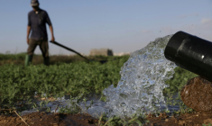 Des agriculteurs irriguent leur champ dans la plaine de Chtouka, au sud d'Agadir, le 13 mai 2025 ( AFP / Abdel Majid BZIOUAT )