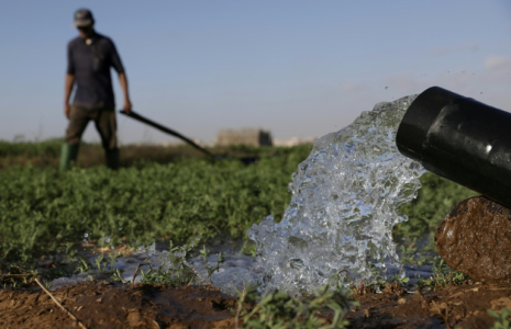 Des agriculteurs irriguent leur champ dans la plaine de Chtouka, au sud d'Agadir, le 13 mai 2025 ( AFP / Abdel Majid BZIOUAT )