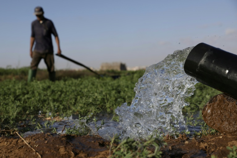 Des agriculteurs irriguent leur champ dans la plaine de Chtouka, au sud d'Agadir, le 13 mai 2025 ( AFP / Abdel Majid BZIOUAT )