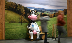 Une vache en plastique utilisée pour la promotion des produits laitiers à Berlin, le 16 janvier 2025 ( AFP / RALF HIRSCHBERGER )