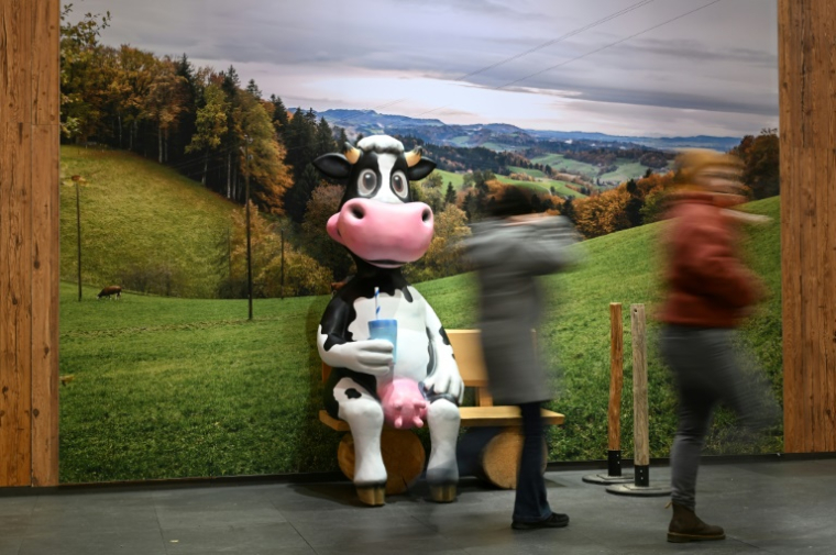 Une vache en plastique utilisée pour la promotion des produits laitiers à Berlin, le 16 janvier 2025 ( AFP / RALF HIRSCHBERGER )