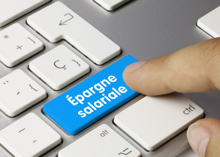 Découvrez le panorama complet de cette nouvelle version du relevé annuel d'épargne salariale (© Mormius - stock.adobe.com)