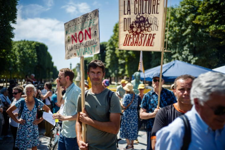 Paysans, politiques, scientifiques, citoyens, apiculteurs... rassemblés devant le Sénat à Paris en opposition à la loi Duplomb, le 30 juin 2025 ( AFP / Dimitar DILKOFF )