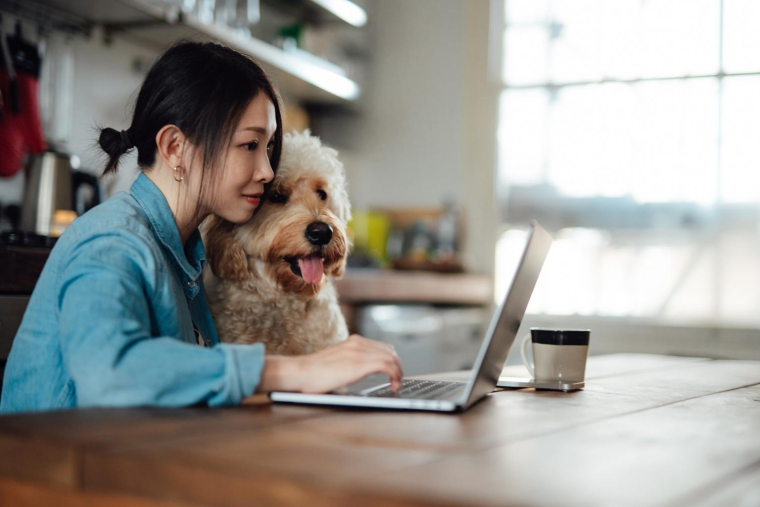 Découvrez notre sélection d’accessoires pour célébrer poissons, chats ou chiens si chers à votre cœur. ( crédit photo : Getty Images )