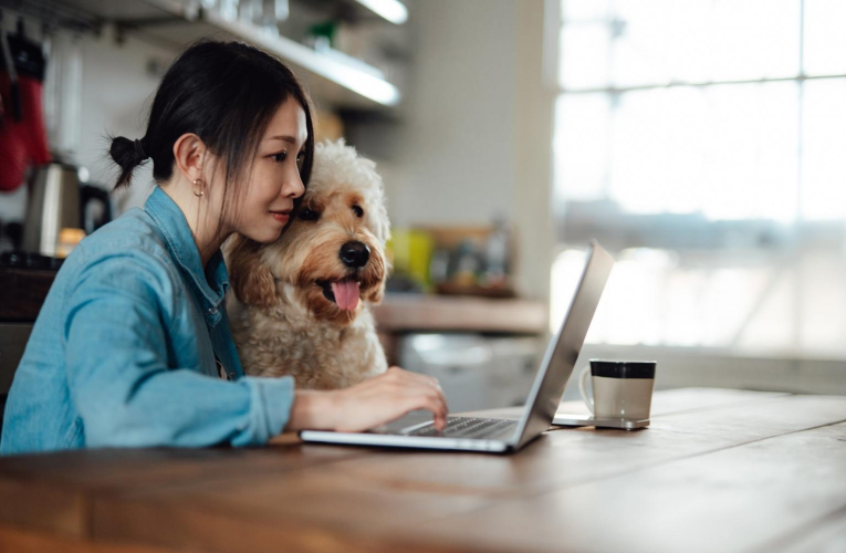 Découvrez notre sélection d’accessoires pour célébrer poissons, chats ou chiens si chers à votre cœur. ( crédit photo : Getty Images )