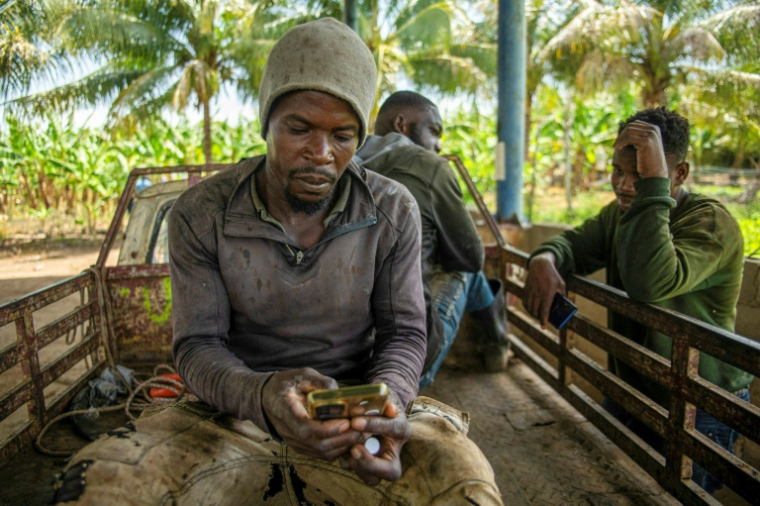 Des employés d'une plantation de bananes prennent une pause à Mao, en République dominicaine, le 20 juin 2025 ( AFP / Eddy Vittini )