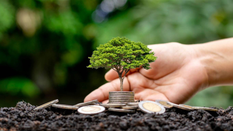 Pourquoi investir dans une forêt ? / iStock.com - arthon meekodong