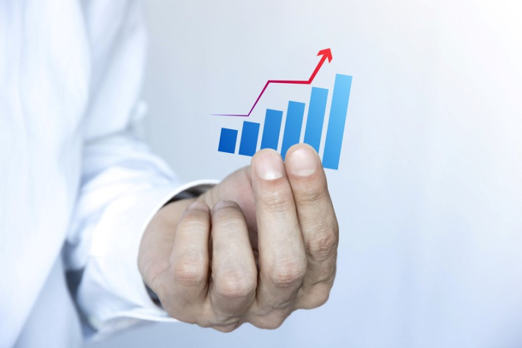 Distribution record de dividendes par les sociétés du CAC 40 en 2019 : comment en profiter ? (Crédit photo: Fotolia)