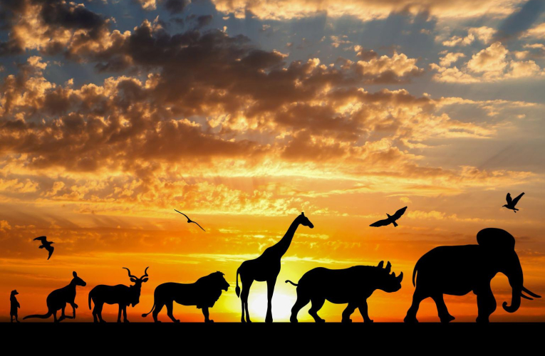 Passez une nuit inoubliable au cœur d’un parc zoologique. ( crédit photo : Shutterstock )