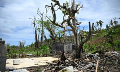Un homme assis près d'un arbre, dans les décombres d'une maison détruite par le cyclone Chido, le 4 janvier 2025 à Bandraboua, à Mayotte ( AFP / JULIEN DE ROSA )