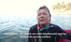 Canicule : en Méditerranée, les poissons cherchent la fraîcheur et ça recompose nos assiettes