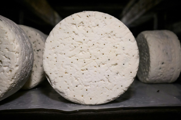 L'appellation d'origine protégée (AOP) du Roquefort représente plus de 2.600 éleveurs, réunis autour de 1.330 exploitations, et la commercialisation de près de 14.000 tonnes en 2024 ( AFP / Lionel BONAVENTURE )