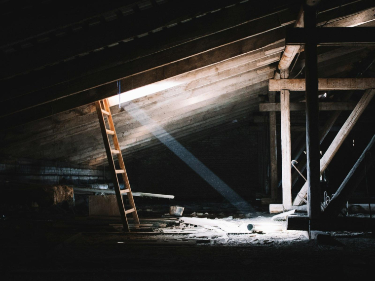 (Crédits photo : Unsplash - Dmitry Ant )