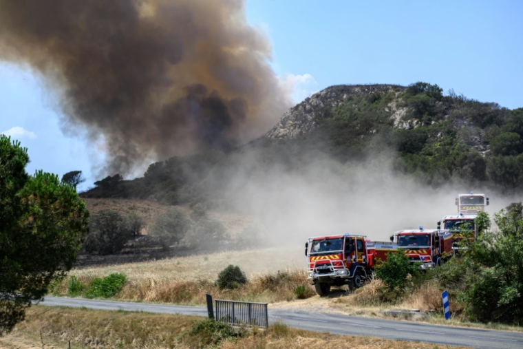Les sapeurs-pompiers luttent contre un incendie à Bizanet, dans l'Aude, le 30 juin 2025 ( AFP / Ed JONES )