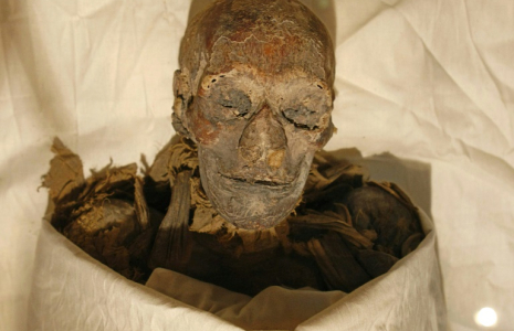 Les restes momifiés de la reine Hatchepsout, célèbre femme pharaon de l'Égypte ancienne, au musée du Caire en 2007 ( AFP / CRIS BOURONCLE )