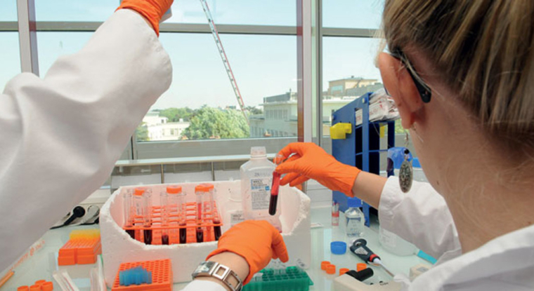 L’indication du cancer du pancréas pour Graspa n’était jusqu'à présent quasiment pas prise en compte dans les modèles de valorisation des analystes. (© Erytech)