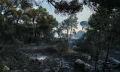 Une photo montre la forêt brûlée le deuxième jour de l'incendie de forêt à Prat de Cest, près de la ville de Narbonne, dans le sud-ouest de la France, le 8 juillet 2025 ( AFP / IDRISS BIGOU-GILLES )
