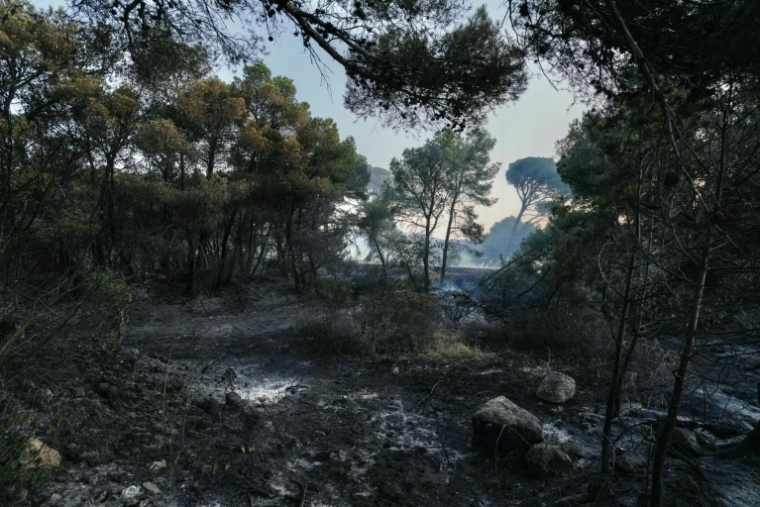 Une photo montre la forêt brûlée le deuxième jour de l'incendie de forêt à Prat de Cest, près de la ville de Narbonne, dans le sud-ouest de la France, le 8 juillet 2025 ( AFP / IDRISS BIGOU-GILLES )