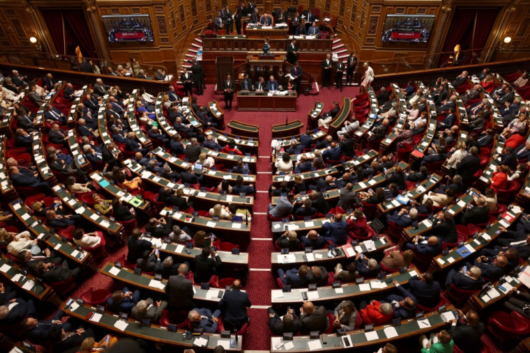 (illustration) ( AFP / THOMAS SAMSON )