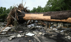 Un arbre arraché devant le camp d'été pour filles dont une trentaine sont portées disparues à la suite des inondations provoquées par la crue du fleuve Guadalupe, au Texas, à Kerrville, aux Etats-Unis, le 5 juillet 2025 ( AFP / RONALDO SCHEMIDT )