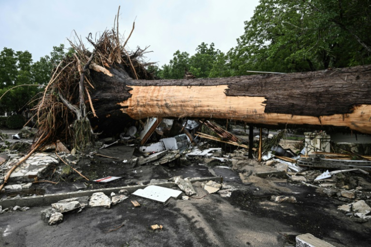 Un arbre arraché devant le camp d'été pour filles dont une trentaine sont portées disparues à la suite des inondations provoquées par la crue du fleuve Guadalupe, au Texas, à Kerrville, aux Etats-Unis, le 5 juillet 2025 ( AFP / RONALDO SCHEMIDT )