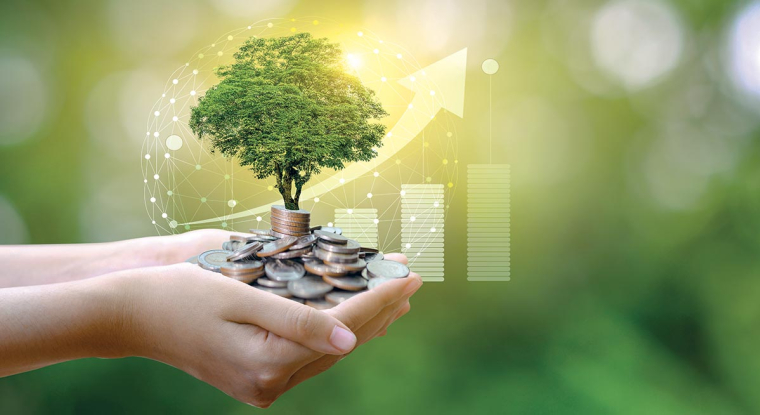 Pour bénéficier de plus grandes garanties sur la dimension environnementale, tournez-vous vers les fonds labellisés Greenfin. (© Shutterstock)