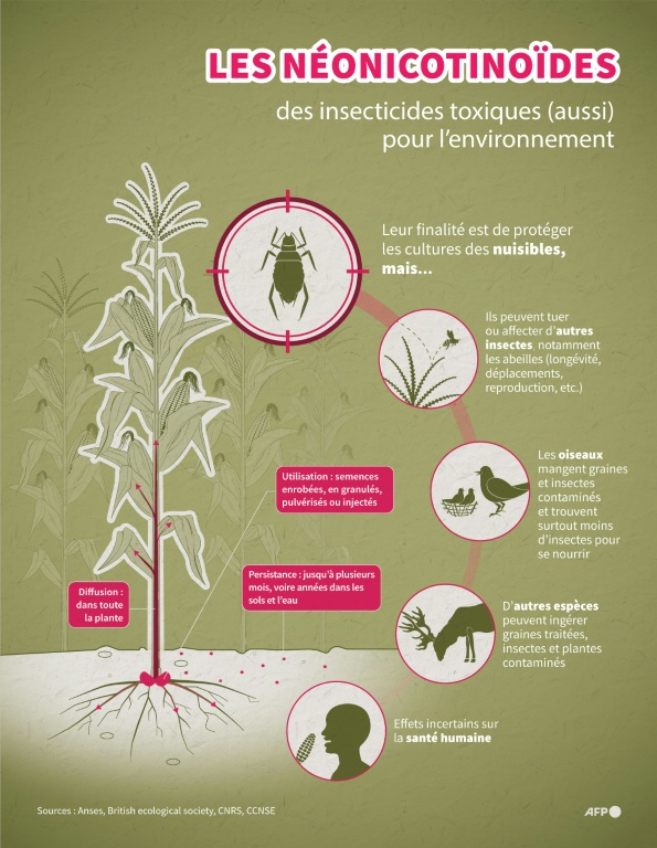 Les néonicotinoïdes, des insecticides toxiques (aussi) pour l'environnement ( AFP / Christophe THALABOT )