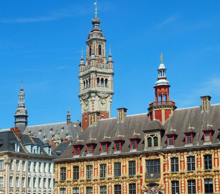 70 % des recherches des Lillois se situent en dehors de la ville. (DEZALB / Pixabay)