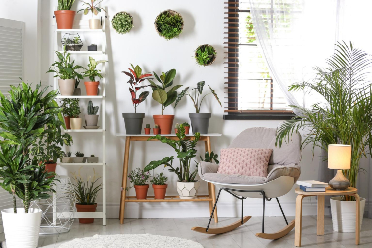 Comment rénover, meubler et décorer sa maison ou son appartement dans le respect de l’environnement? crédit photo : Shutterstock