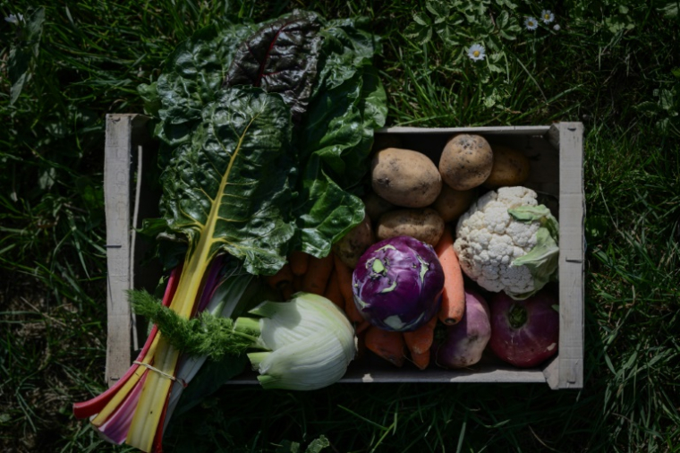 Des légumes biologiques, à Nieul-sur-Mer (Charente-Maritime), le 8 avril 2025 ( AFP / Philippe LOPEZ )