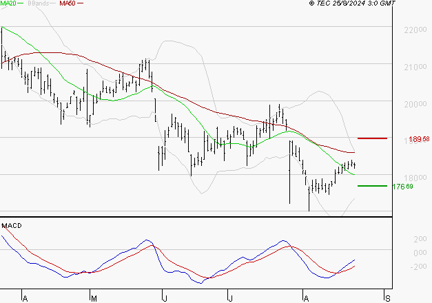 CAPGEMINI : Attendre un test du support