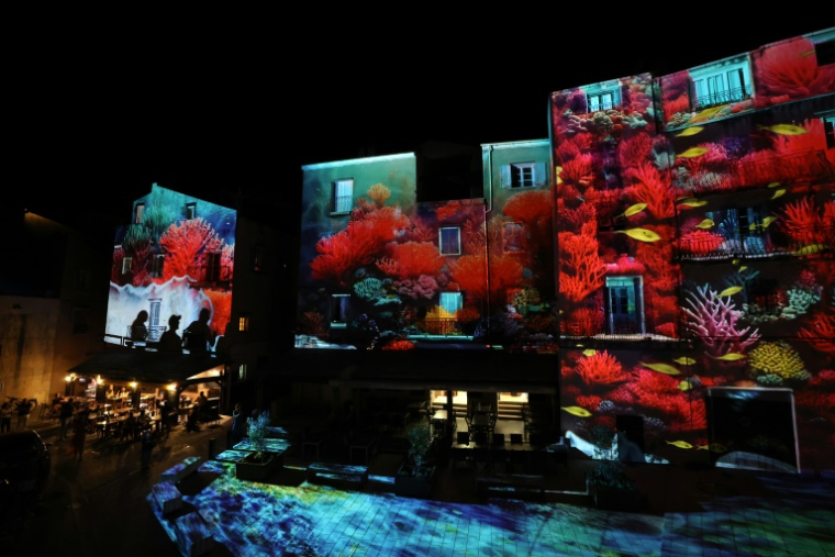Un spectacle en lumières de l'artiste suisse Nicolas Hesslein, lors 10e festival Festi Lumi à Bonifacio, le 2 juillet 2025 ( AFP / Pascal POCHARD-CASABIANCA )